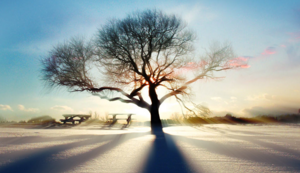 如何获得精准引流